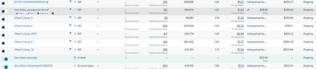 Meta Ads Manager Conversion Performance